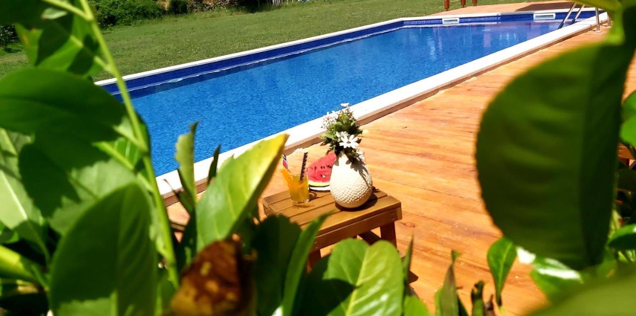 Apartment Djurovic Virpazar